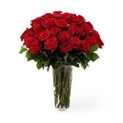 The  Long Stem Red Rose Bouquet from Parkway Florist in Pittsburgh PA